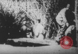 Image Les soldats français portent des corps Europe, 1915, de la seconde 28 séquences d'archives historiques vidéo 65675079200
