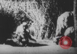 Image Les soldats français portent des corps Europe, 1915, de la seconde 29 séquences d'archives historiques vidéo 65675079200