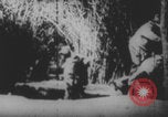 Image Les soldats français portent des corps Europe, 1915, de la seconde 38 séquences d'archives historiques vidéo 65675079200