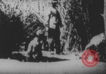 Image Les soldats français portent des corps Europe, 1915, de la seconde 48 séquences d'archives historiques vidéo 65675079200