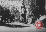 Image Les soldats français portent des corps Europe, 1915, de la seconde 52 séquences d'archives historiques vidéo 65675079200