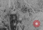 Image Soldats français et africains première Guerre mondiale Europe, 1916, de la seconde 33 séquences d'archives historiques vidéo 65675079202
