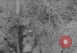 Image Soldats français et africains première Guerre mondiale Europe, 1916, de la seconde 34 séquences d'archives historiques vidéo 65675079202
