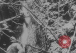 Image Soldats français et africains première Guerre mondiale Europe, 1916, de la seconde 35 séquences d'archives historiques vidéo 65675079202