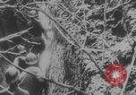 Image Soldats français et africains première Guerre mondiale Europe, 1916, de la seconde 36 séquences d'archives historiques vidéo 65675079202