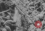 Image Soldats français et africains première Guerre mondiale Europe, 1916, de la seconde 37 séquences d'archives historiques vidéo 65675079202