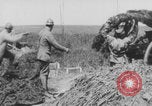 Standbild Kaiserschlacht Frühjahrsoffensive 1918 Europa, 1918, aus Sekunde 18 historischem Filmmaterial Videoclip 65675079204