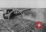 Standbild Kaiserschlacht Frühjahrsoffensive 1918 Europa, 1918, aus Sekunde 53 historischem Filmmaterial Videoclip 65675079204