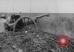 Standbild Kaiserschlacht Frühjahrsoffensive 1918 Europa, 1918, aus Sekunde 54 historischem Filmmaterial Videoclip 65675079204