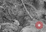 Image of French soldiers marching Verdun France, 1916, second 9 stock footage video 65675079209