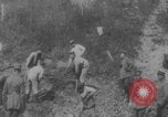 Image of workers digging trenches WW1 Europe, 1915, second 25 stock footage video 65675079211