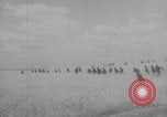 Image of Russian cavalry charge WWI East Prussia, 1914, second 1 stock footage video 65675079213
