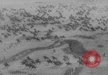 Image of Russian cavalry charge WWI East Prussia, 1914, second 11 stock footage video 65675079213