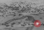 Image of Russian cavalry charge WWI East Prussia, 1914, second 13 stock footage video 65675079213