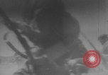 Image of Russian cavalry charge WWI East Prussia, 1914, second 25 stock footage video 65675079213
