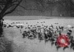 Image of Paris park scenes WWI Paris France, 1916, second 29 stock footage video 65675079215