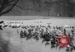 Image of Paris park scenes WWI Paris France, 1916, second 30 stock footage video 65675079215