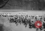 Image of Paris park scenes WWI Paris France, 1916, second 31 stock footage video 65675079215