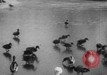 Image of Paris park scenes WWI Paris France, 1916, second 32 stock footage video 65675079215