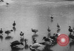 Image of Paris park scenes WWI Paris France, 1916, second 33 stock footage video 65675079215