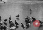 Image of Paris park scenes WWI Paris France, 1916, second 34 stock footage video 65675079215