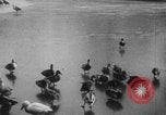 Image of Paris park scenes WWI Paris France, 1916, second 35 stock footage video 65675079215