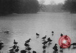 Image of Paris park scenes WWI Paris France, 1916, second 36 stock footage video 65675079215