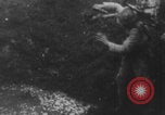 Image of muddy battlefield WWI Verdun France, 1916, second 25 stock footage video 65675079217