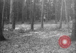 Standbild Französische Mitarbeiter Auto Tanks navigieren Wald Frankreich, 1917, aus Sekunde 1 historischem Filmmaterial Videoclip 65675079225