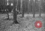Standbild Französische Mitarbeiter Auto Tanks navigieren Wald Frankreich, 1917, aus Sekunde 4 historischem Filmmaterial Videoclip 65675079225