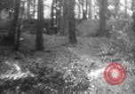Standbild Französische Mitarbeiter Auto Tanks navigieren Wald Frankreich, 1917, aus Sekunde 7 historischem Filmmaterial Videoclip 65675079225