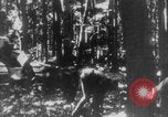 Standbild Französische Mitarbeiter Auto Tanks navigieren Wald Frankreich, 1917, aus Sekunde 17 historischem Filmmaterial Videoclip 65675079225