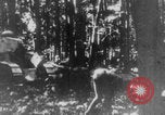 Standbild Französische Mitarbeiter Auto Tanks navigieren Wald Frankreich, 1917, aus Sekunde 18 historischem Filmmaterial Videoclip 65675079225