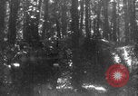 Standbild Französische Mitarbeiter Auto Tanks navigieren Wald Frankreich, 1917, aus Sekunde 20 historischem Filmmaterial Videoclip 65675079225