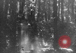 Standbild Französische Mitarbeiter Auto Tanks navigieren Wald Frankreich, 1917, aus Sekunde 21 historischem Filmmaterial Videoclip 65675079225