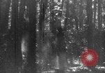 Standbild Französische Mitarbeiter Auto Tanks navigieren Wald Frankreich, 1917, aus Sekunde 22 historischem Filmmaterial Videoclip 65675079225