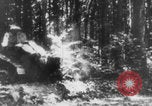 Standbild Französische Mitarbeiter Auto Tanks navigieren Wald Frankreich, 1917, aus Sekunde 23 historischem Filmmaterial Videoclip 65675079225