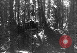 Standbild Französische Mitarbeiter Auto Tanks navigieren Wald Frankreich, 1917, aus Sekunde 24 historischem Filmmaterial Videoclip 65675079225
