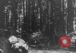 Standbild Französische Mitarbeiter Auto Tanks navigieren Wald Frankreich, 1917, aus Sekunde 29 historischem Filmmaterial Videoclip 65675079225