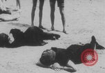 Image of Brighton Baths and Beach New York New York City USA, 1914, second 11 stock footage video 65675079237