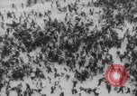 Image of Russian Revolution victims Russia, 1917, second 3 stock footage video 65675079241