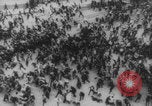 Image of Russian Revolution victims Russia, 1917, second 4 stock footage video 65675079241