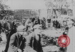 Image of Russian Revolution victims Russia, 1917, second 21 stock footage video 65675079241