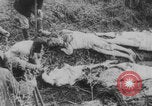 Image of Russian Revolution victims Russia, 1917, second 28 stock footage video 65675079241