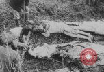 Image of Russian Revolution victims Russia, 1917, second 29 stock footage video 65675079241