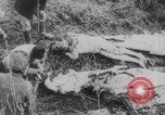 Image of Russian Revolution victims Russia, 1917, second 30 stock footage video 65675079241