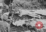 Image of Russian Revolution victims Russia, 1917, second 31 stock footage video 65675079241