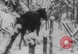 Image of French soldiers winter WWI Europe, 1917, second 13 stock footage video 65675079257