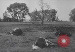 Image of German bombing Paris 1940 Paris France, 1940, second 10 stock footage video 65675079262