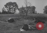 Image of German bombing Paris 1940 Paris France, 1940, second 11 stock footage video 65675079262